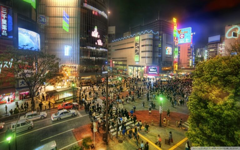 シティーポップ　写真